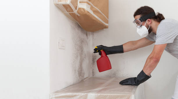 Professional Attic Mold Remediation technician working in Sanford, VA