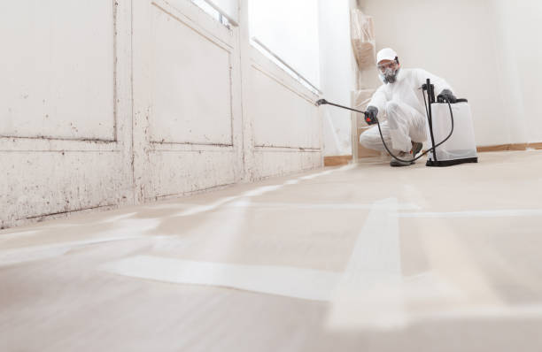 24/7 Emergency Attic Mold Remediation experts in Sanford, VA