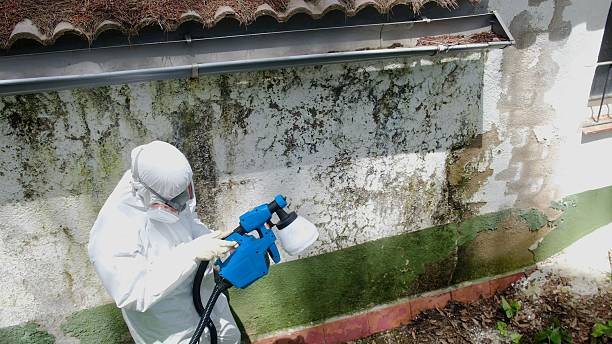 Top rated local Attic Mold Remediation specialists in Sanford, VA